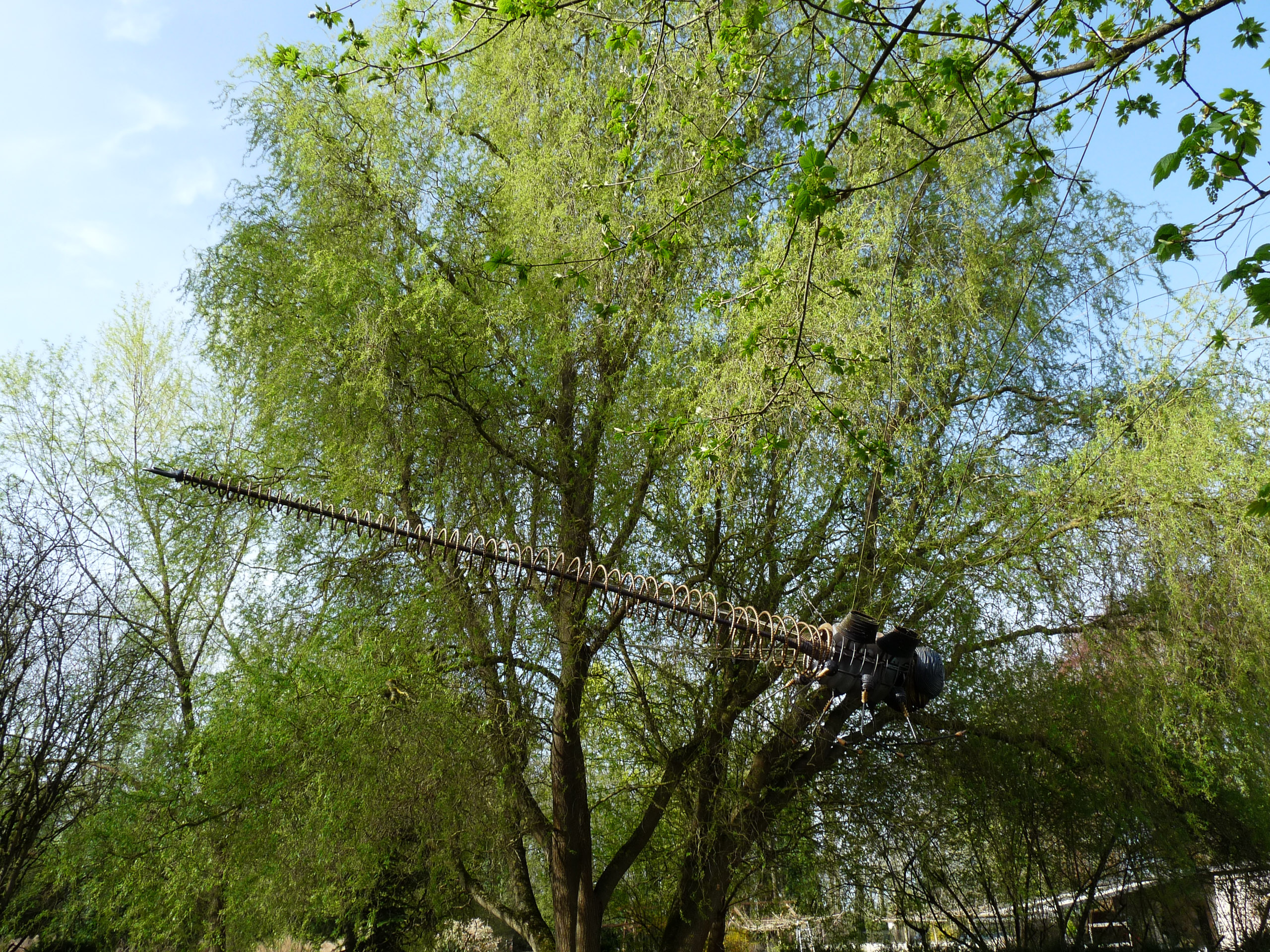 20180415094905 P1110103